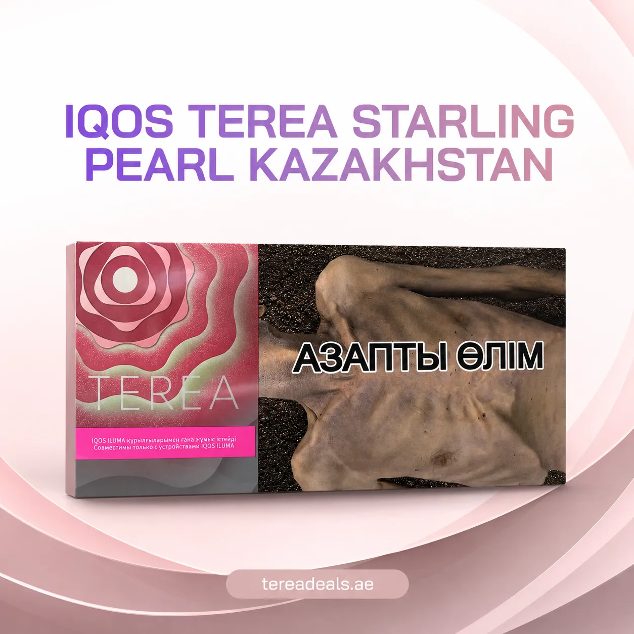 IQOS TEREA Starling Pearl Kazakhstan UAE for IQOS ILUMA devices