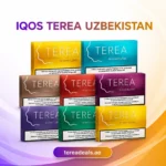 IQOS TEREA Uzbekistan heated tobacco sticks for IQOS ILUMA UAE